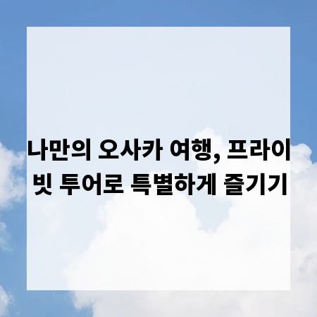 나만의 오사카 여행, 프라이빗 투어로 특별하게 즐기기