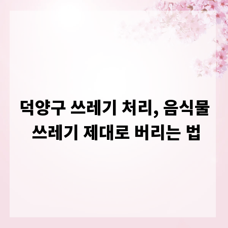 덕양구 쓰레기 처리, 음식물 쓰레기 제대로 버리는 법