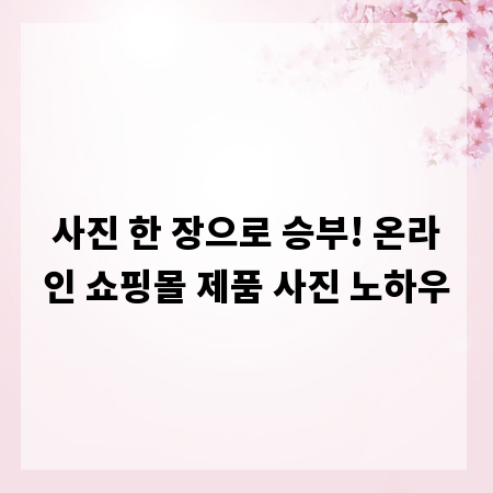 사진 한 장으로 승부! 온라인 쇼핑몰 제품 사진 노하우