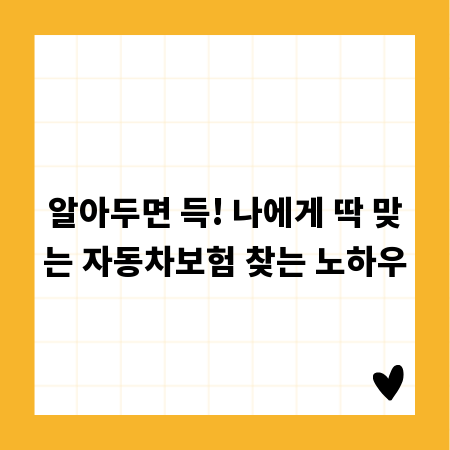 알아두면 득! 나에게 딱 맞는 자동차보험 찾는 노하우
