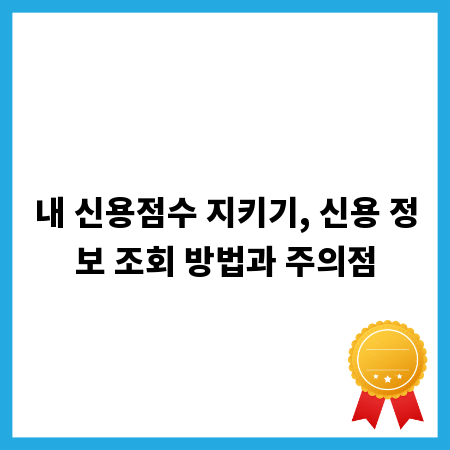 내 신용점수 지키기, 신용 정보 조회 방법과 주의점