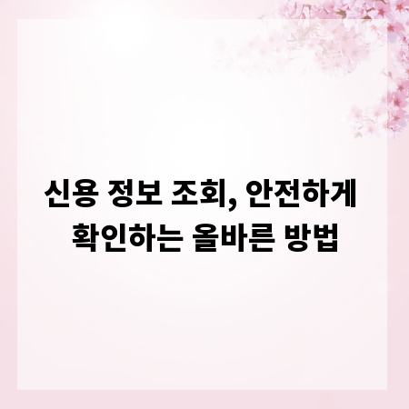 신용 정보 조회, 안전하게 확인하는 올바른 방법