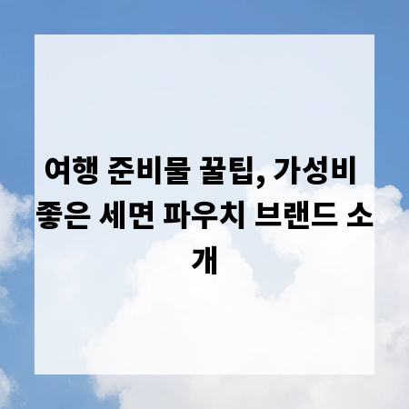 여행 준비물 꿀팁, 가성비 좋은 세면 파우치 브랜드 소개