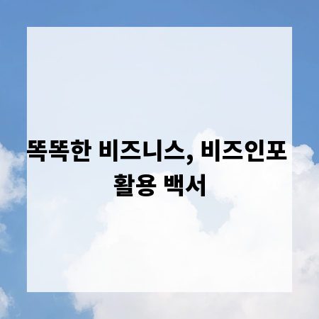 똑똑한 비즈니스, 비즈인포 활용 백서