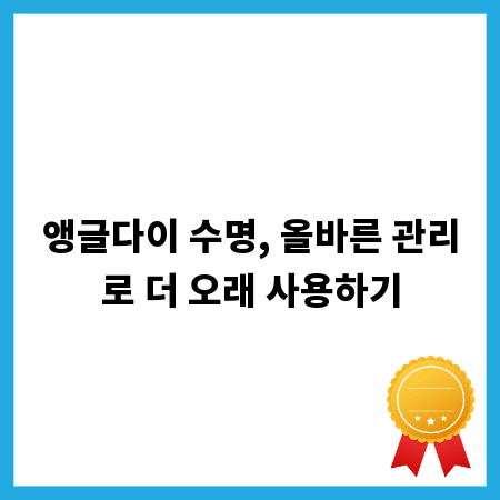 앵글다이 수명, 올바른 관리로 더 오래 사용하기