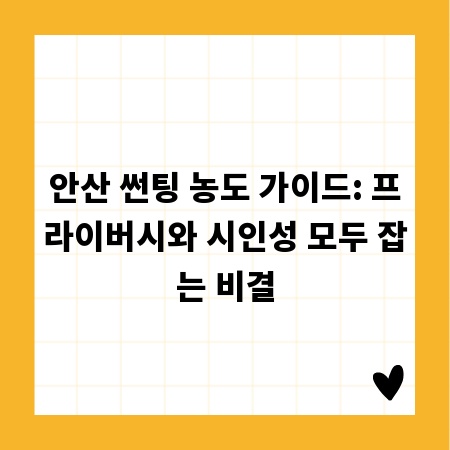 안산 썬팅 농도 가이드: 프라이버시와 시인성 모두 잡는 비결