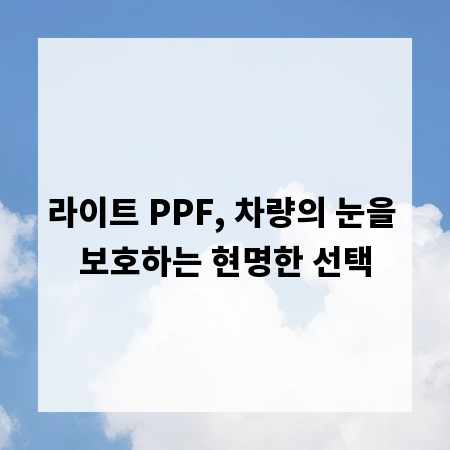 라이트 PPF, 차량의 눈을 보호하는 현명한 선택