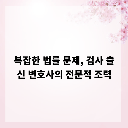 복잡한 법률 문제, 검사 출신 변호사의 전문적 조력