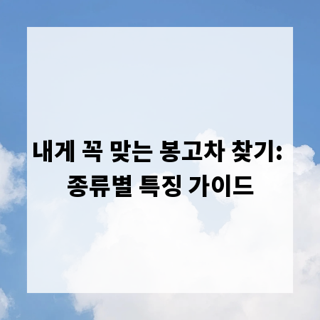 내게 꼭 맞는 봉고차 찾기: 종류별 특징 가이드