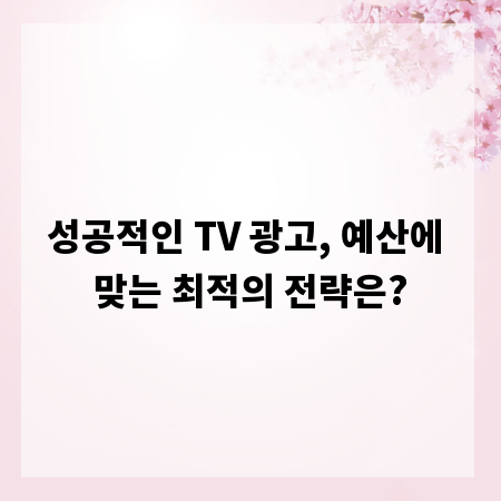 성공적인 TV 광고, 예산에 맞는 최적의 전략은?