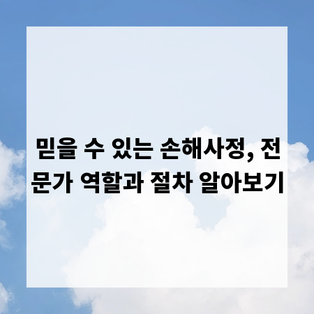 믿을 수 있는 손해사정, 전문가 역할과 절차 알아보기