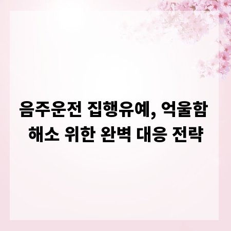 음주운전 집행유예, 억울함 해소 위한 완벽 대응 전략