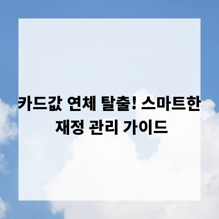 카드값 연체 탈출! 스마트한 재정 관리 가이드