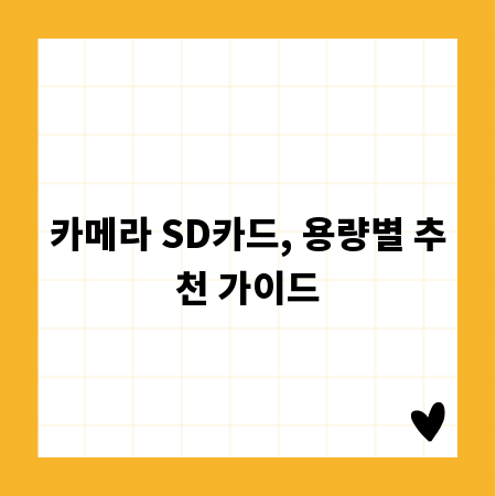 카메라 SD카드, 용량별 추천 가이드
