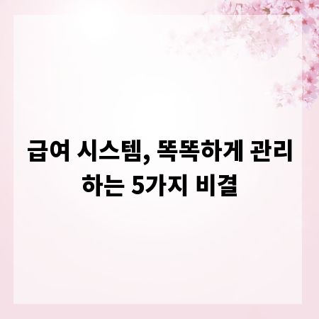 급여 시스템, 똑똑하게 관리하는 5가지 비결