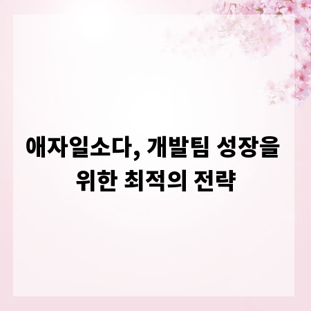 애자일소다, 개발팀 성장을 위한 최적의 전략