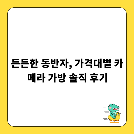 든든한 동반자, 가격대별 카메라 가방 솔직 후기