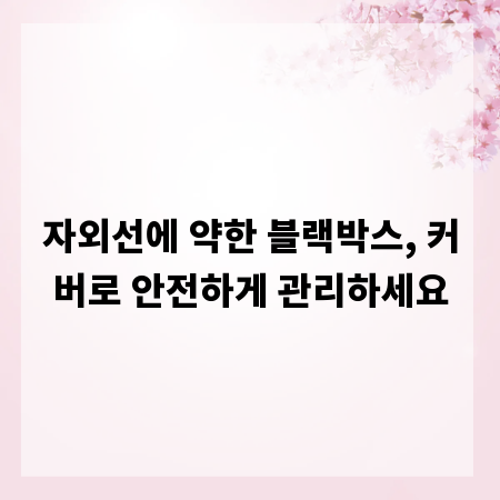 자외선에 약한 블랙박스, 커버로 안전하게 관리하세요