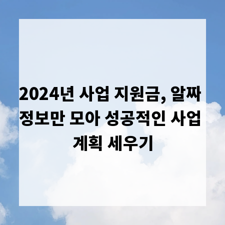 2024년 사업 지원금, 알짜 정보만 모아 성공적인 사업 계획 세우기