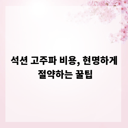 석션 고주파 비용, 현명하게 절약하는 꿀팁