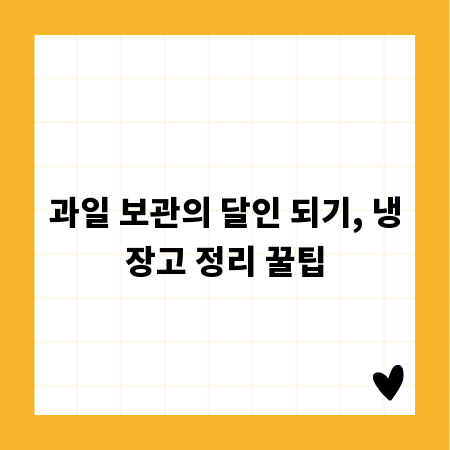 과일 보관의 달인 되기, 냉장고 정리 꿀팁