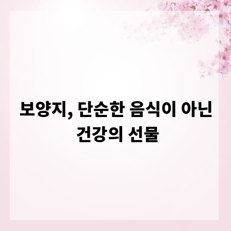 보양지, 단순한 음식이 아닌 건강의 선물