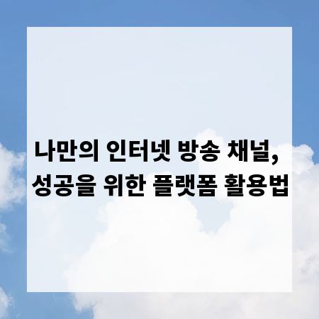 나만의 인터넷 방송 채널, 성공을 위한 플랫폼 활용법