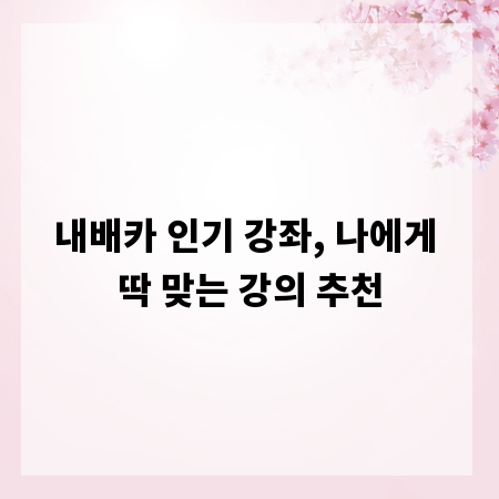 내배카 인기 강좌, 나에게 딱 맞는 강의 추천