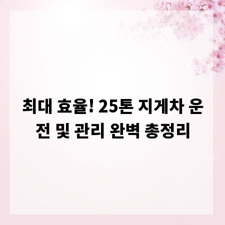 최대 효율! 25톤 지게차 운전 및 관리 완벽 총정리