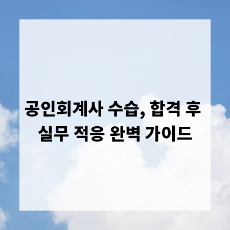 공인회계사 수습, 합격 후 실무 적응 완벽 가이드