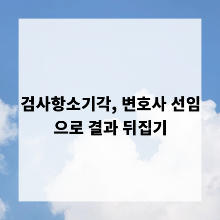 검사항소기각, 변호사 선임으로 결과 뒤집기