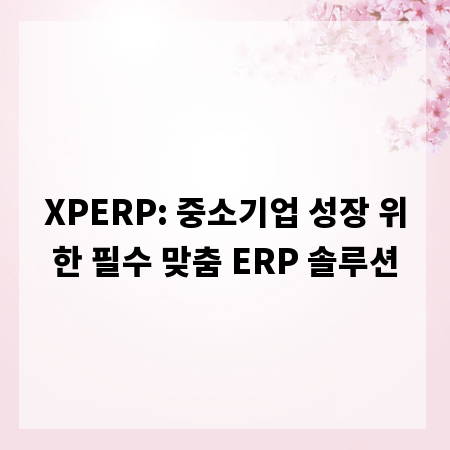 XPERP: 중소기업 성장 위한 필수 맞춤 ERP 솔루션