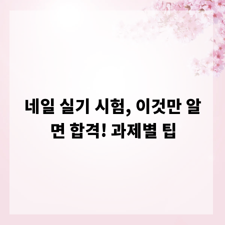 네일 실기 시험, 이것만 알면 합격! 과제별 팁