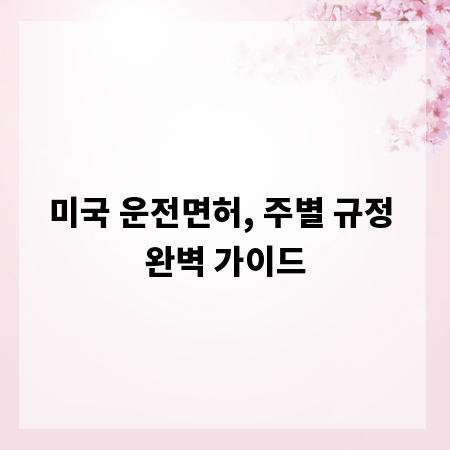 미국 운전면허, 주별 규정 완벽 가이드