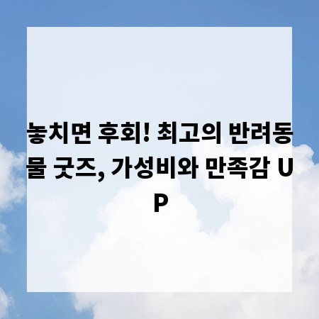놓치면 후회! 최고의 반려동물 굿즈, 가성비와 만족감 UP