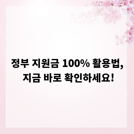 정부 지원금 100% 활용법, 지금 바로 확인하세요!