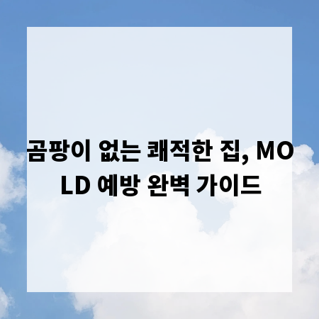 곰팡이 없는 쾌적한 집, MOLD 예방 완벽 가이드