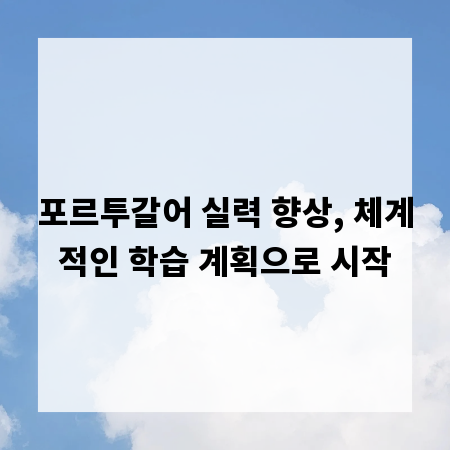포르투갈어 실력 향상, 체계적인 학습 계획으로 시작