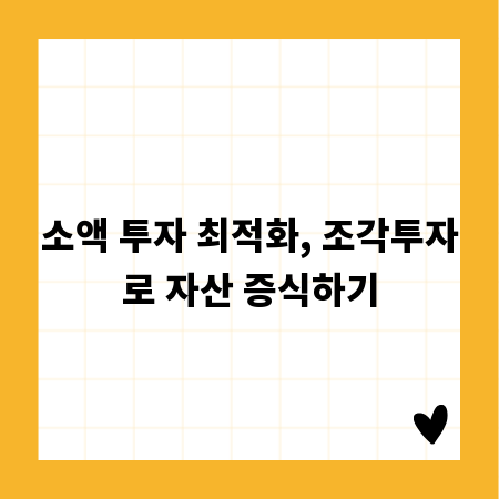 소액 투자 최적화, 조각투자로 자산 증식하기