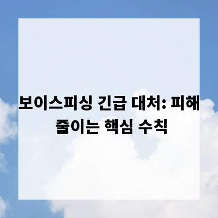 보이스피싱 긴급 대처: 피해 줄이는 핵심 수칙