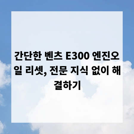 간단한 벤츠 E300 엔진오일 리셋, 전문 지식 없이 해결하기