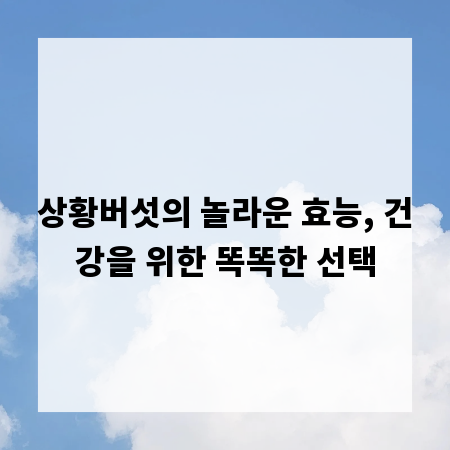 상황버섯의 놀라운 효능, 건강을 위한 똑똑한 선택