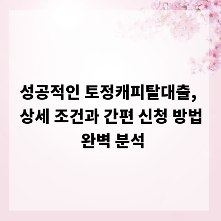 성공적인 토정캐피탈대출, 상세 조건과 간편 신청 방법 완벽 분석