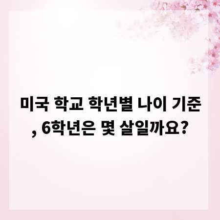 미국 학교 학년별 나이 기준, 6학년은 몇 살일까요?