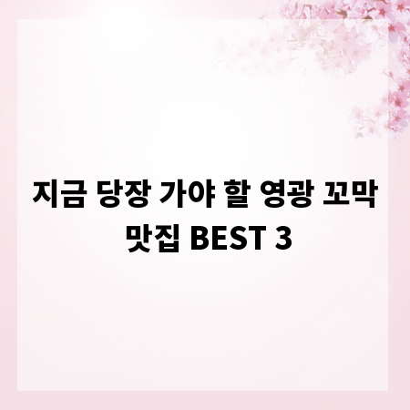 지금 당장 가야 할 영광 꼬막 맛집 BEST 3