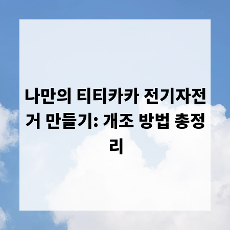 나만의 티티카카 전기자전거 만들기: 개조 방법 총정리