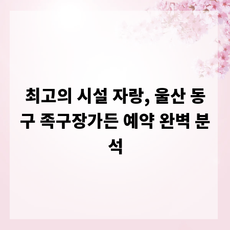 최고의 시설 자랑, 울산 동구 족구장가든 예약 완벽 분석