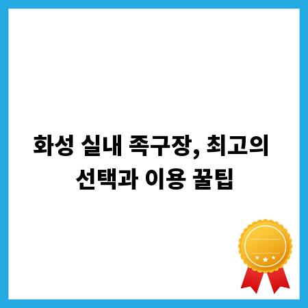 화성 실내 족구장, 최고의 선택과 이용 꿀팁