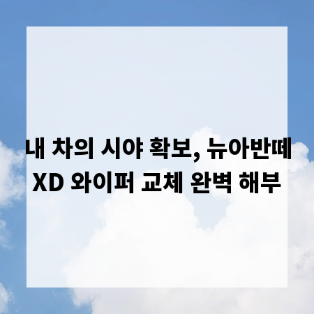 내 차의 시야 확보, 뉴아반떼XD 와이퍼 교체 완벽 해부