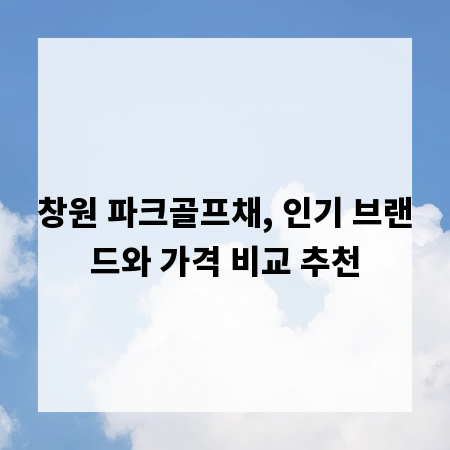 창원 파크골프채, 인기 브랜드와 가격 비교 추천
